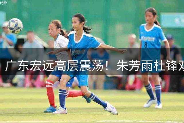广东宏远高层震荡！朱芳雨杜锋双双离职引发热议